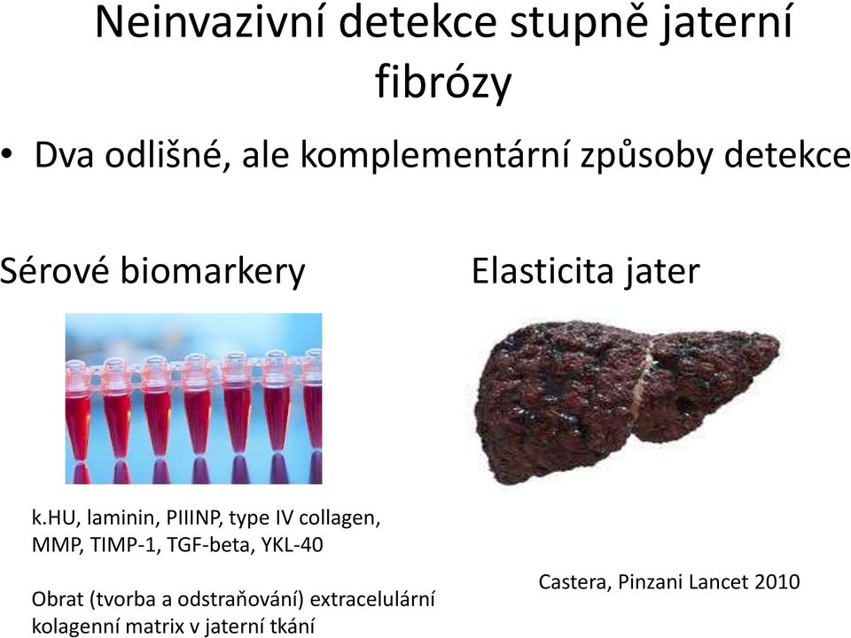 hu, laminin, PIIINP, type IV collagen, MMP, TIMP-1, TGF-beta, YKL-40 Obrat