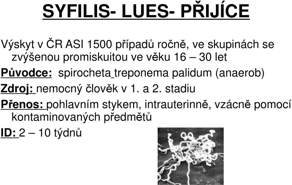 palidum (anaerob) Zdroj: nemocný člověk v 1. a 2.