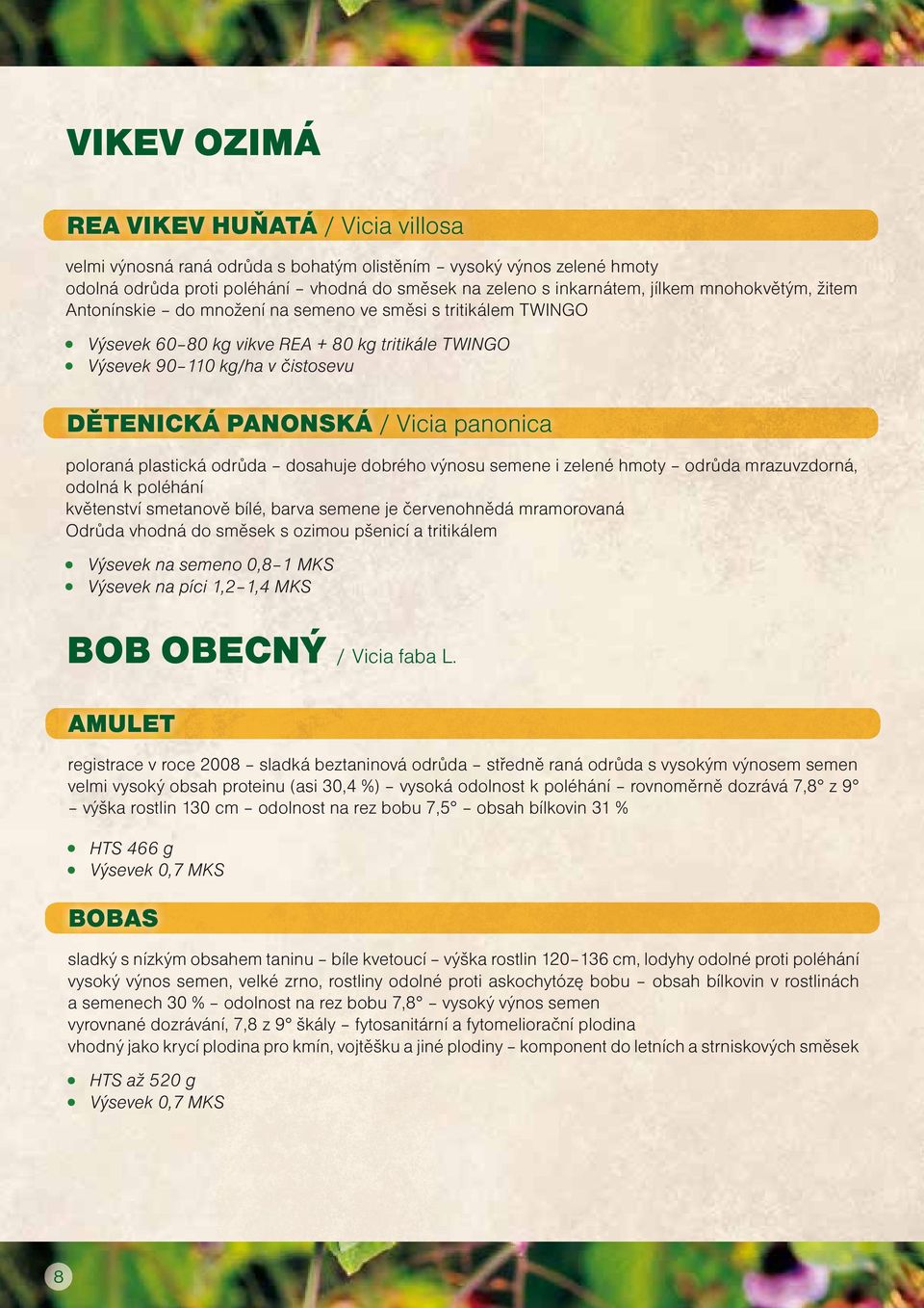 panonica poloraná plastická odrůda dosahuje dobrého výnosu semene i zelené hmoty odrůda mrazuvzdorná, odolná k poléhání květenství smetanově bílé, barva semene je červenohnědá mramorovaná Odrůda