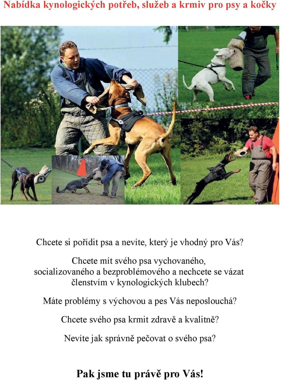 Chcete mít svého psa vychovaného, socializovaného a bezproblémového a nechcete se vázat členstvím v