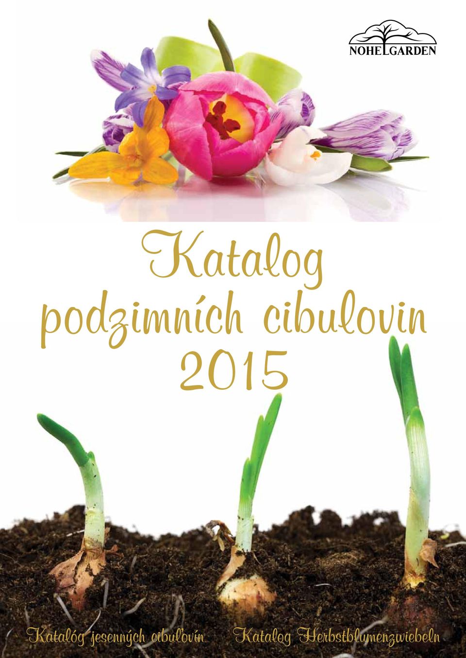 jesenných cibuľovín