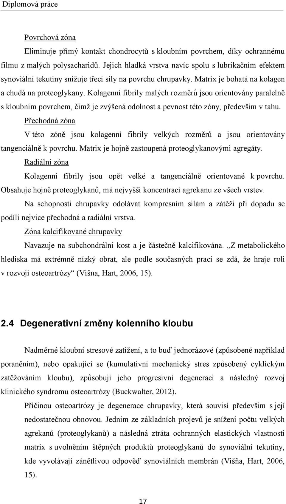 Kolagenní fibrily malých rozměrů jsou orientovány paralelně s kloubním povrchem, čímţ je zvýšená odolnost a pevnost této zóny, především v tahu.