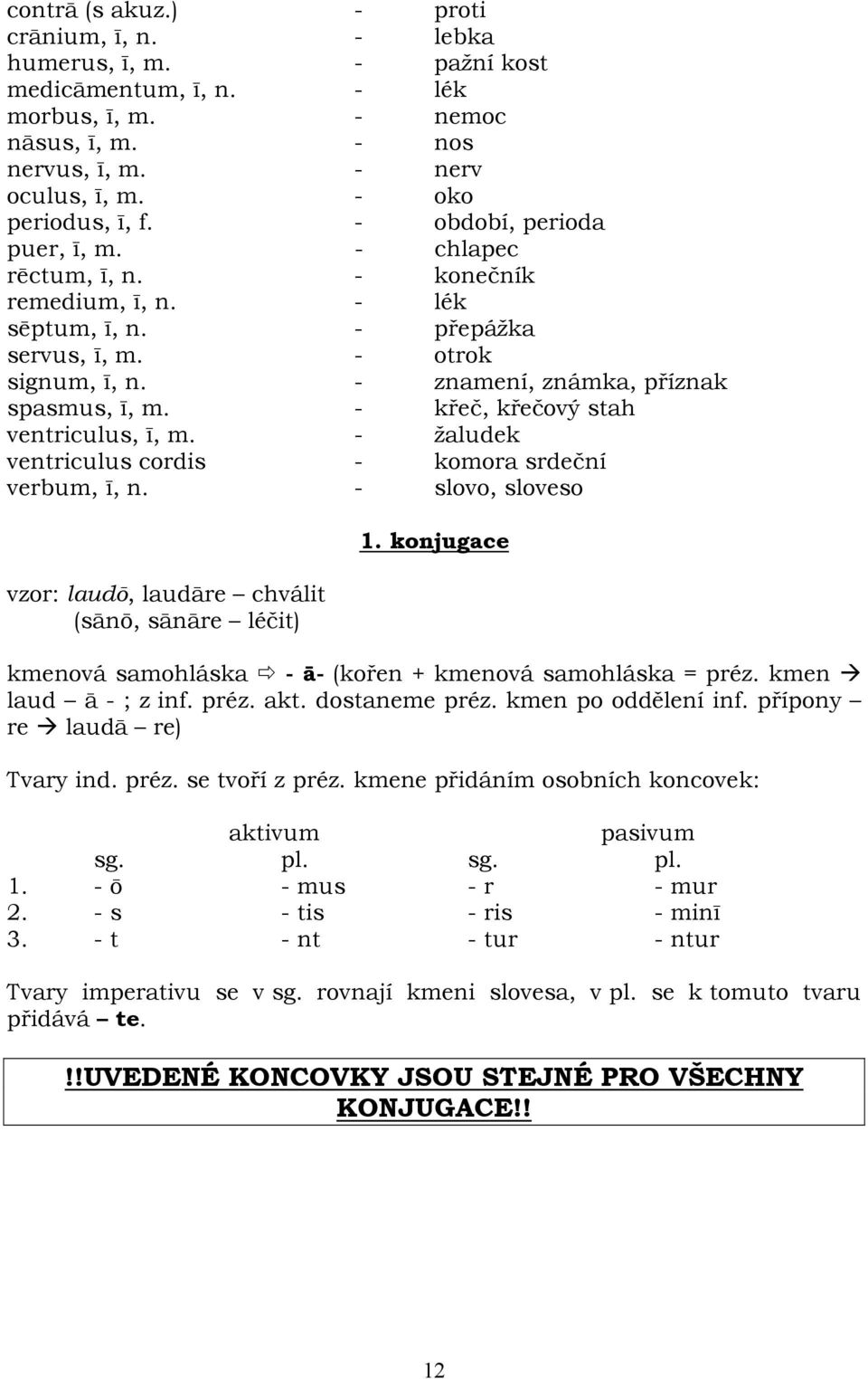 - křeč, křečový stah ventriculus, ī, m. - žaludek ventriculus cordis - komora srdeční verbum, ī, n. - slovo, sloveso vzor: laudō, laudāre chválit (sānō, sānāre léčit) 1.