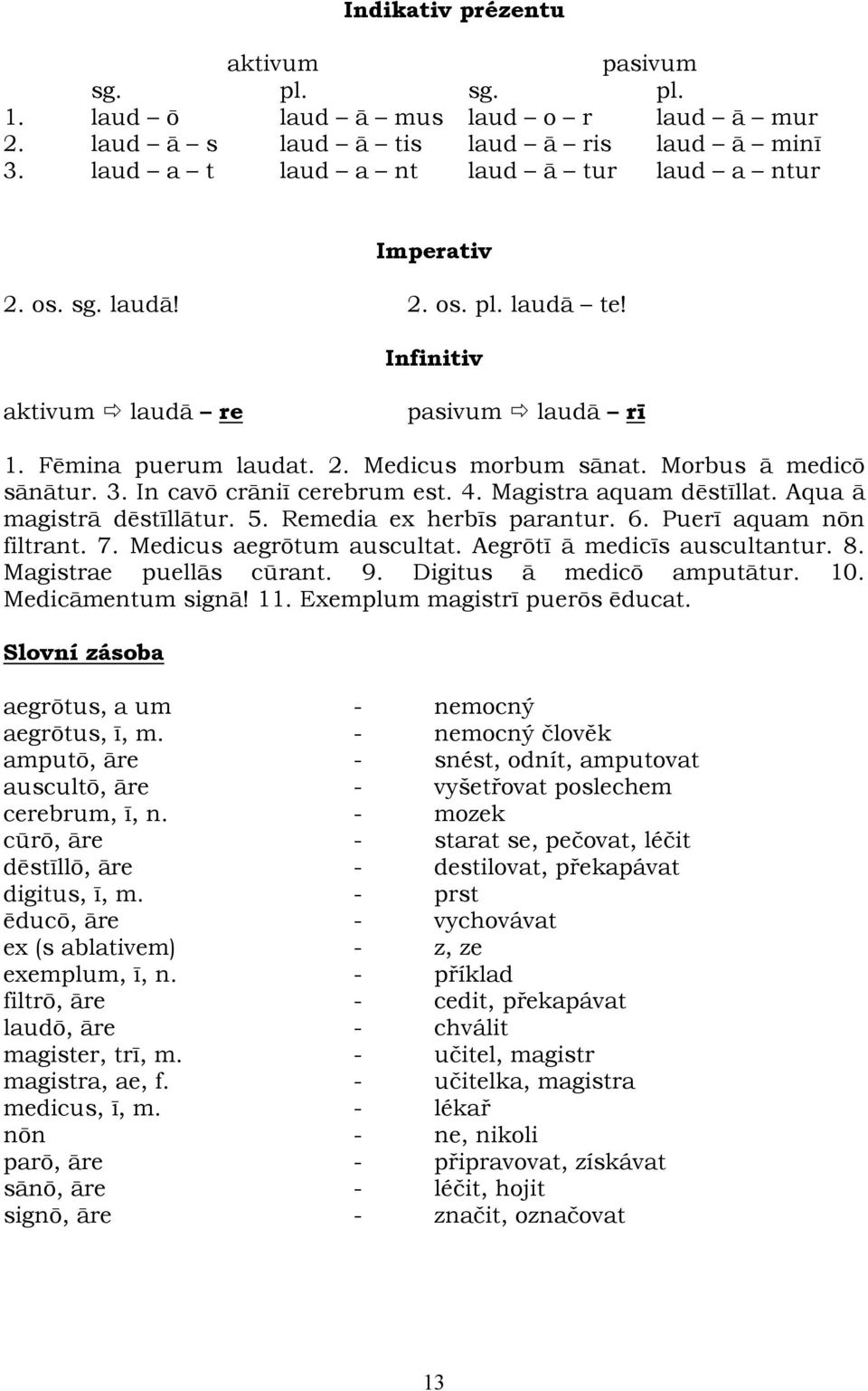 Magistra aquam dēstīllat. Aqua ā magistrā dēstīllātur. 5. Remedia ex herbīs parantur. 6. Puerī aquam nōn filtrant. 7. Medicus aegrōtum auscultat. Aegrōtī ā medicīs auscultantur. 8.