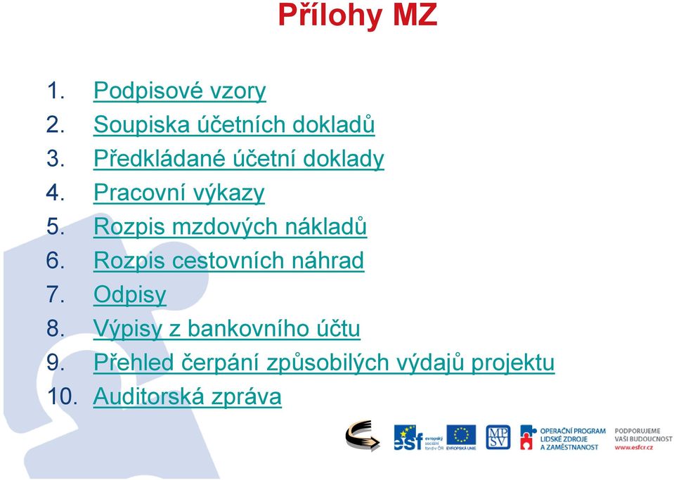 Rozpis mzdových nákladů 6. Rozpis cestovních náhrad 7. Odpisy 8.