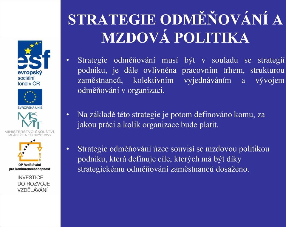 Na základě této strategie je potom definováno komu, za jakou práci a kolik organizace bude platit.