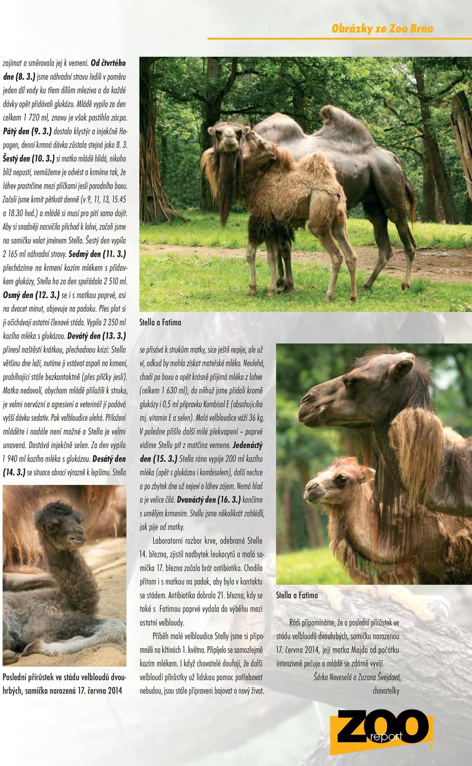 ) dostalo klystýr a injekčně Hepagen, denní krmná dávka zůstala stejná jako 8. 3.