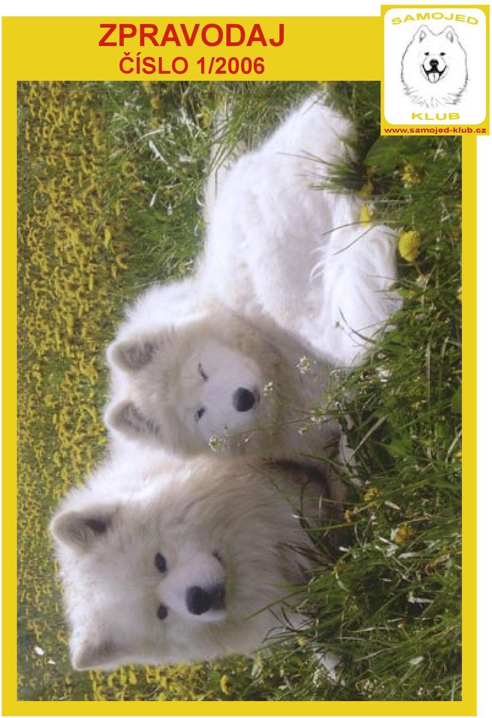 SAMOJED KLUB