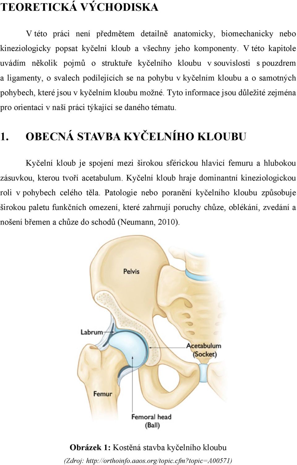 kyčelním kloubu možné. Tyto informace jsou důležité zejména pro orientaci v naší práci týkající se daného tématu. 1.