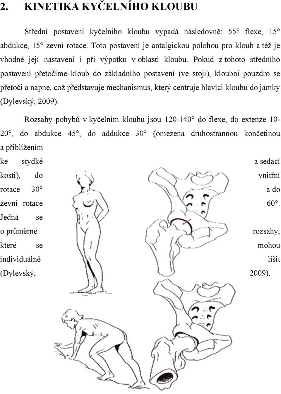 Pokud z tohoto středního postavení přetočíme kloub do základního postavení (ve stoji), kloubní pouzdro se přetočí a napne, což představuje mechanismus, který centruje hlavici kloubu do