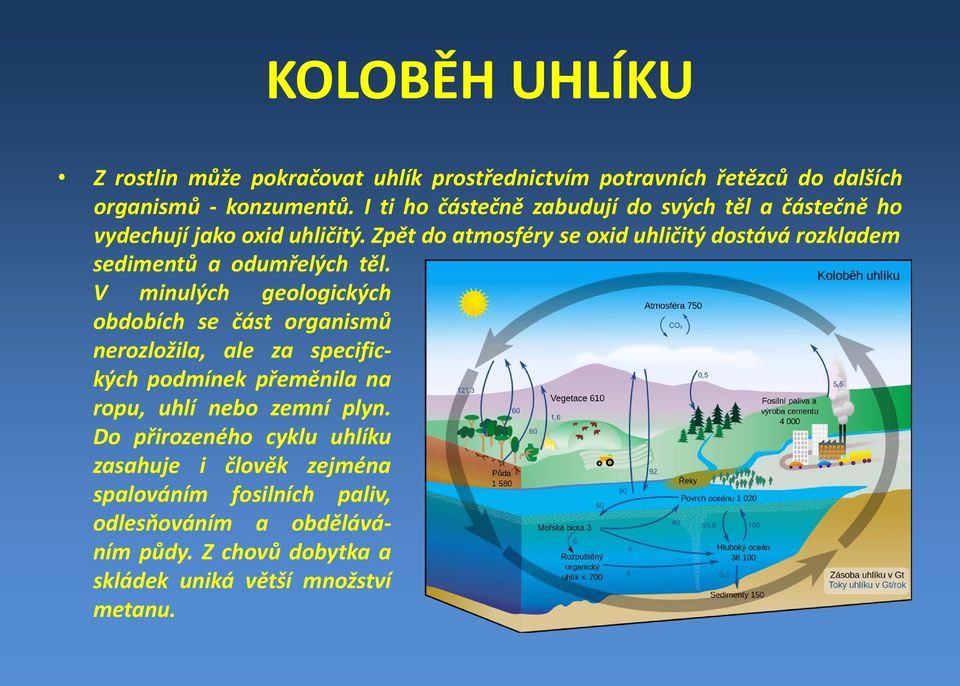 Zpět do atmosféry se oxid uhličitý dostává rozkladem sedimentů aodumřelých těl.