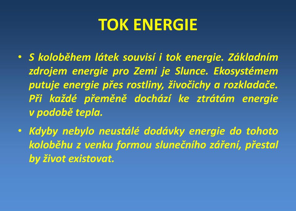 Ekosystémem putuje energie přes rostliny, živočichy a rozkladače.