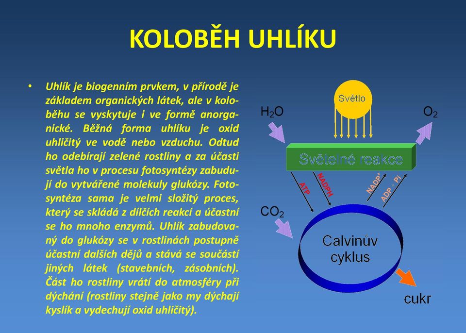 Odtud ho odebírají zelené rostliny a za účasti světla ho v procesu fotosyntézy zabudují do vytvářené molekuly glukózy.