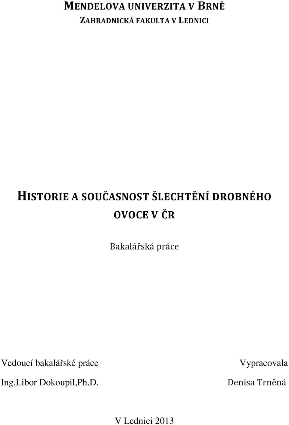 V ČR Bakalářská práce Vedoucí bakalářské práce Ing.