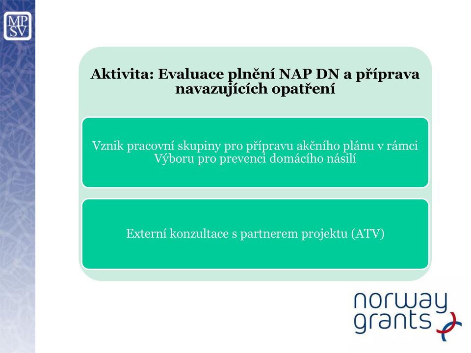 přípravu akčního plánu v rámci Výboru pro prevenci