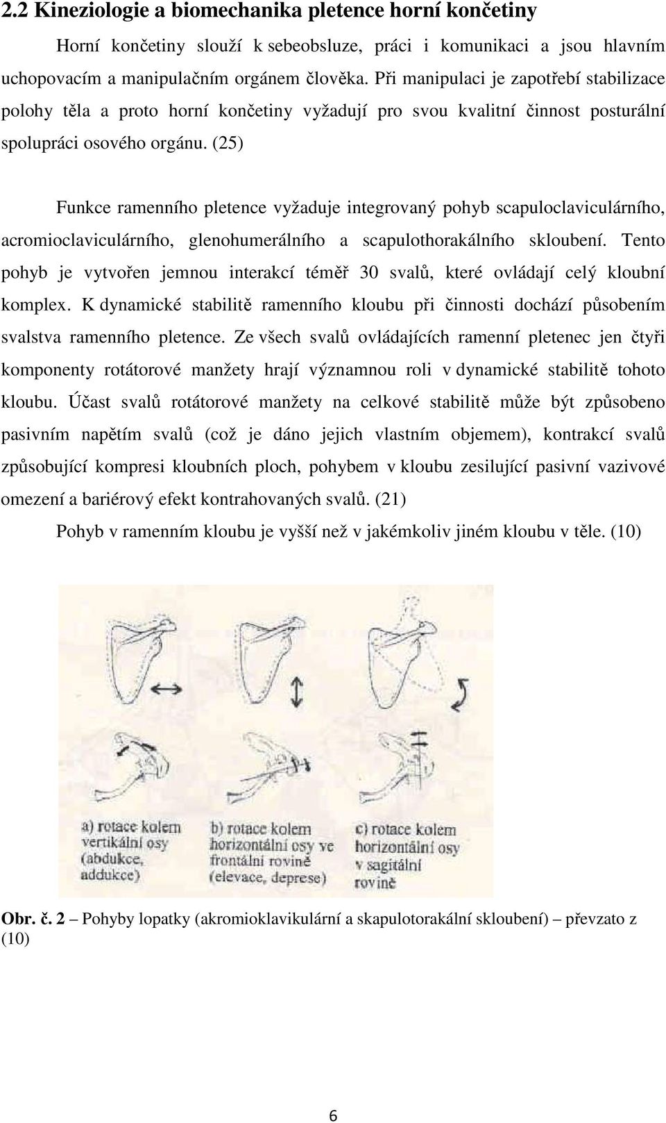 (25) Funkce ramenního pletence vyžaduje integrovaný pohyb scapuloclaviculárního, acromioclaviculárního, glenohumerálního a scapulothorakálního skloubení.