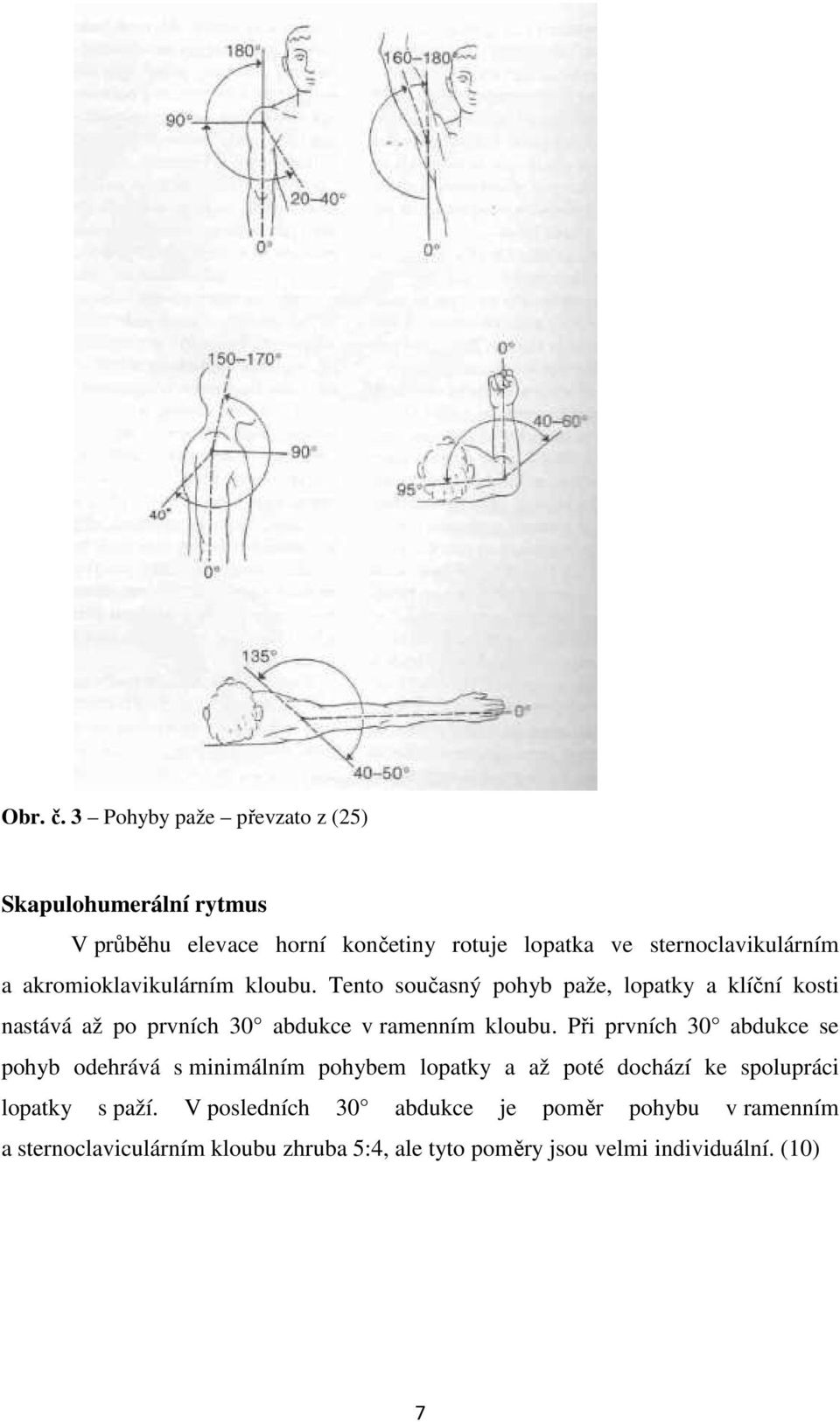 akromioklavikulárním kloubu. Tento současný pohyb paže, lopatky a klíční kosti nastává až po prvních 30 abdukce v ramenním kloubu.