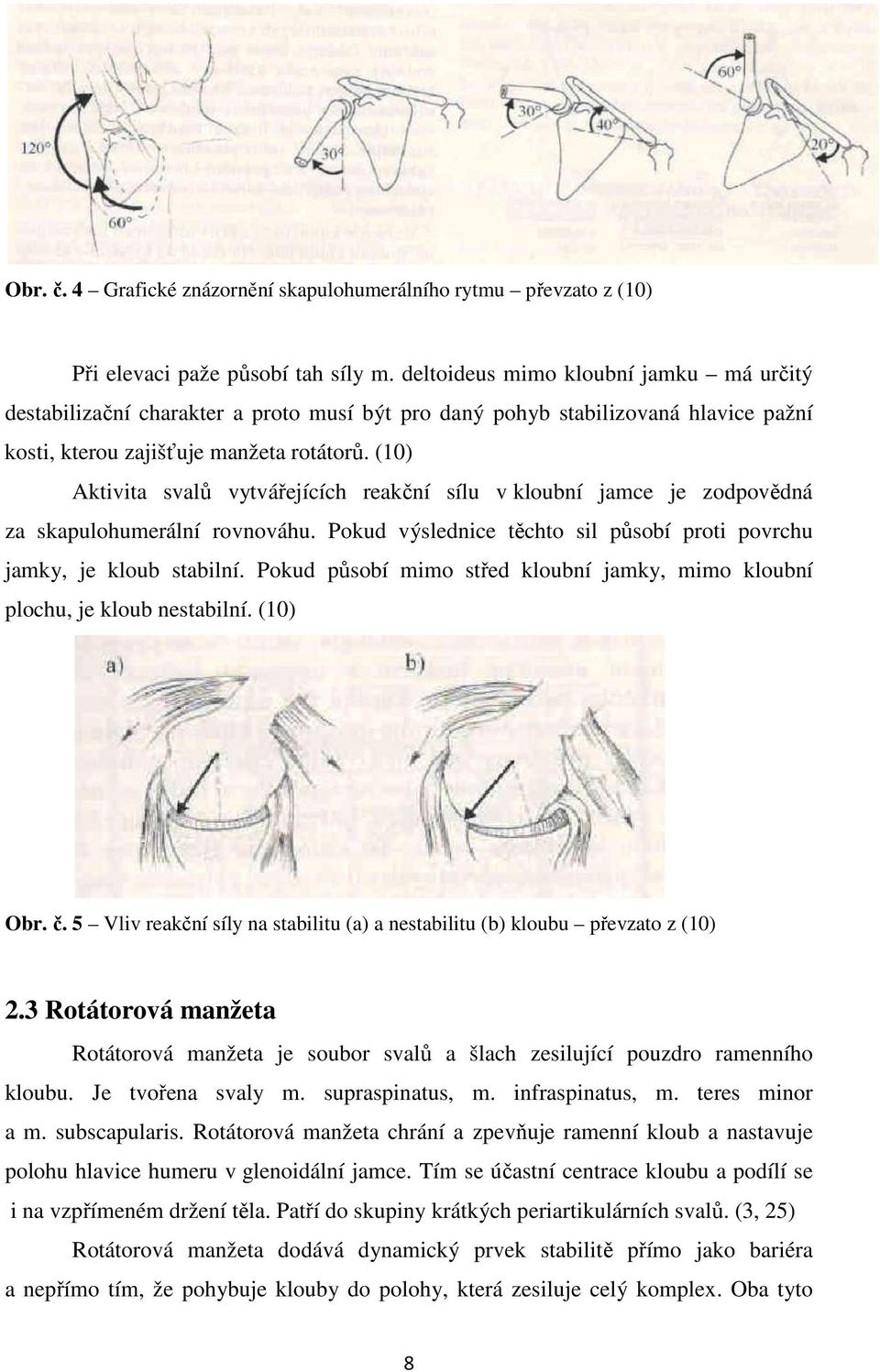 (10) Aktivita svalů vytvářejících reakční sílu v kloubní jamce je zodpovědná za skapulohumerální rovnováhu. Pokud výslednice těchto sil působí proti povrchu jamky, je kloub stabilní.