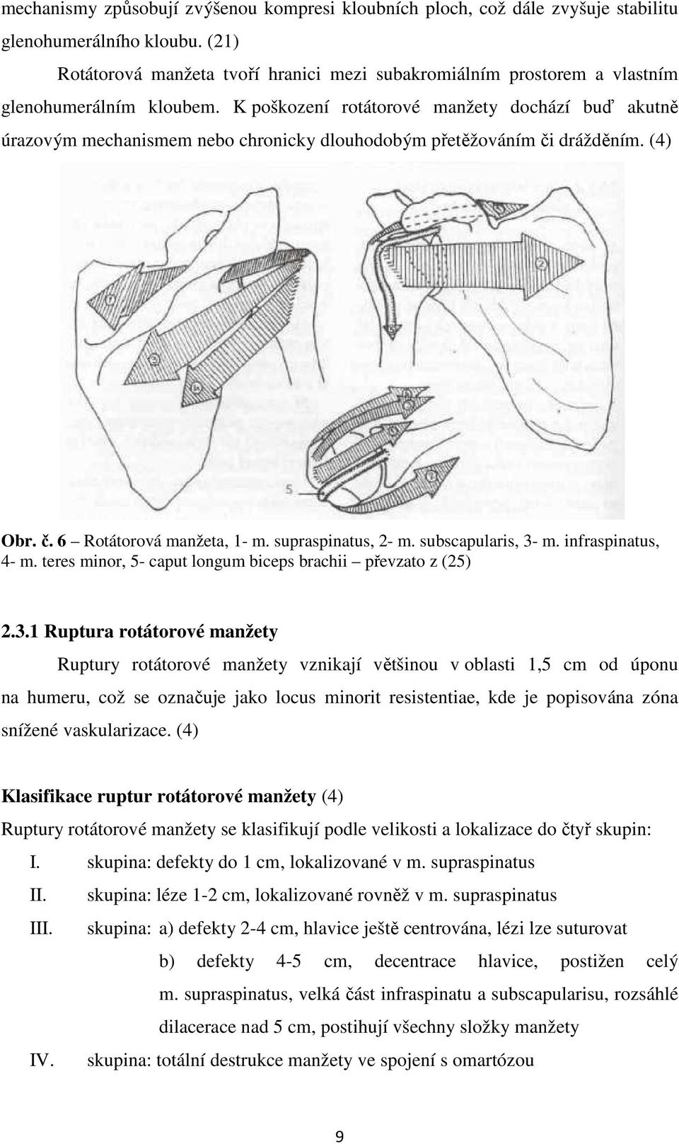 K poškození rotátorové manžety dochází buď akutně úrazovým mechanismem nebo chronicky dlouhodobým přetěžováním či drážděním. (4) Obr. č. 6 Rotátorová manžeta, 1- m. supraspinatus, 2- m.