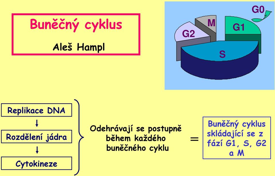 Odehrávají se postupně během každého