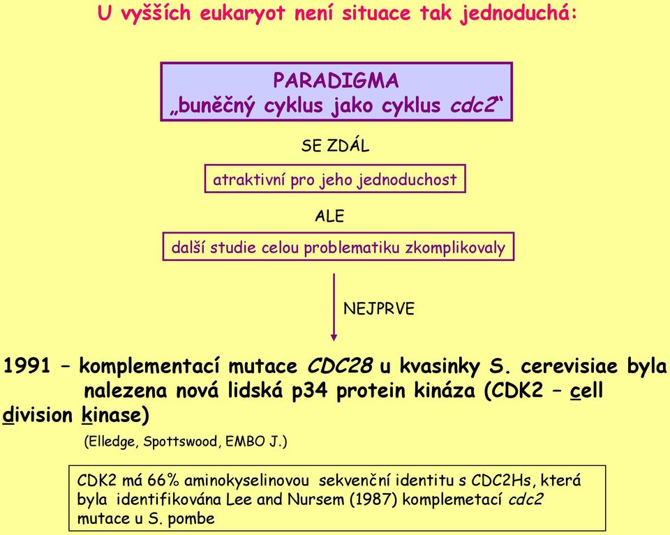 cerevisiae byla nalezena nová lidská p34 protein kináza (CDK2 cell division kinase) (Elledge, Spottswood, EMBO J.