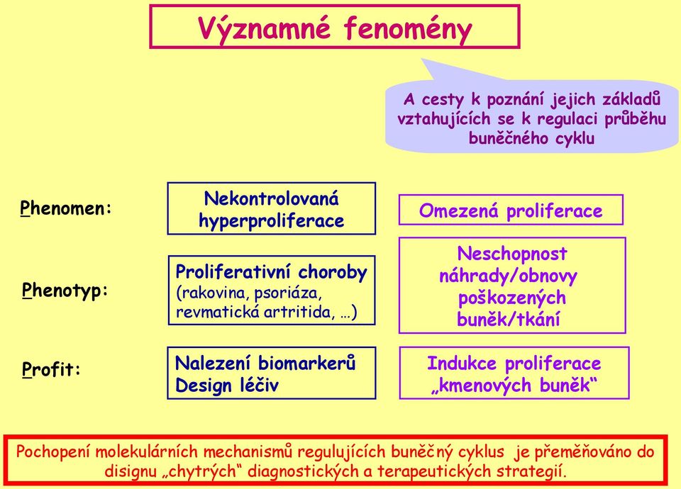 Design léčiv Omezená proliferace Neschopnost náhrady/obnovy poškozených buněk/tkání Indukce proliferace kmenových buněk