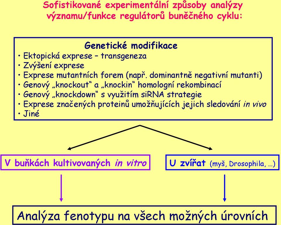 dominantně negativní mutanti) Genový knockout a knockin homologní rekombinací Genový knockdown s využitím sirna