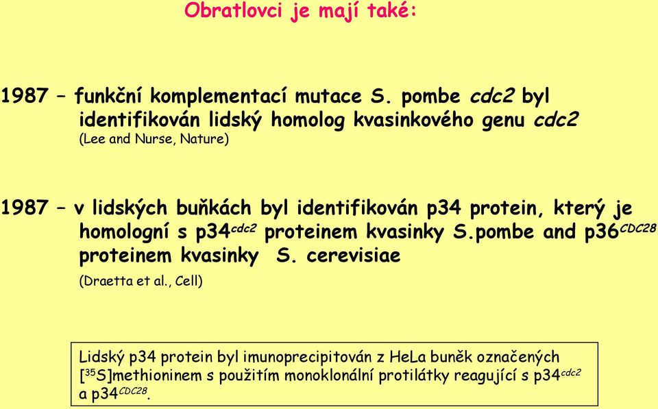 identifikován p34 protein, který je homologní s p34cdc2 proteinem kvasinky S.pombe and p36cdc28 proteinem kvasinky S.