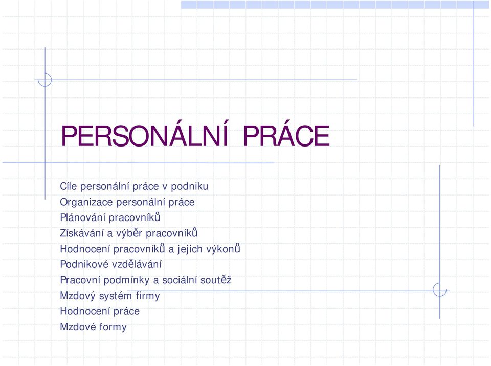 Hodnocení pracovníků a jejich výkonů Podnikové vzdělávání Pracovní