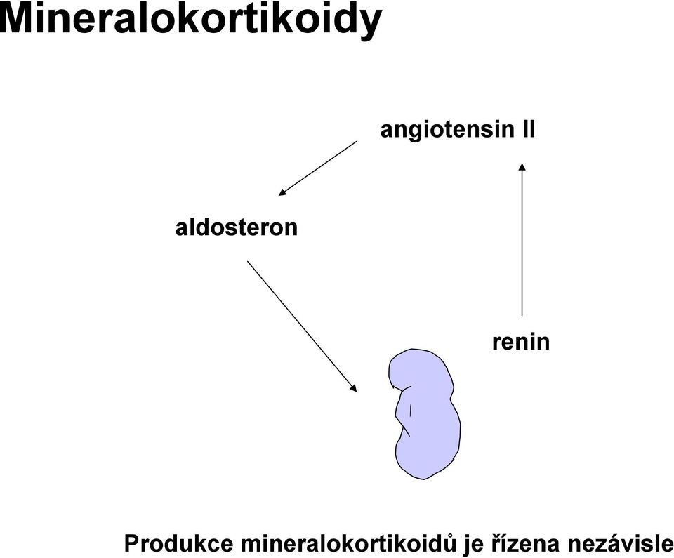 aldosteron renin
