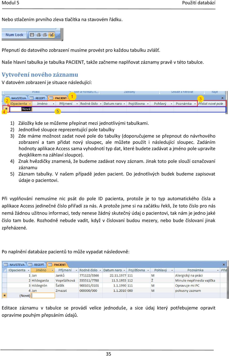 Vytvoření nového záznamu V datovém zobrazení je situace následující: 1) Záložky kde se můžeme přepínat mezi jednotlivými tabulkami.