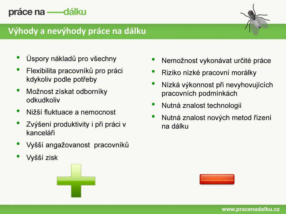 kanceláři Vyšší angažovanost pracovníků Vyšší zisk Nemožnost vykonávat určité práce Riziko nízké pracovní morálky