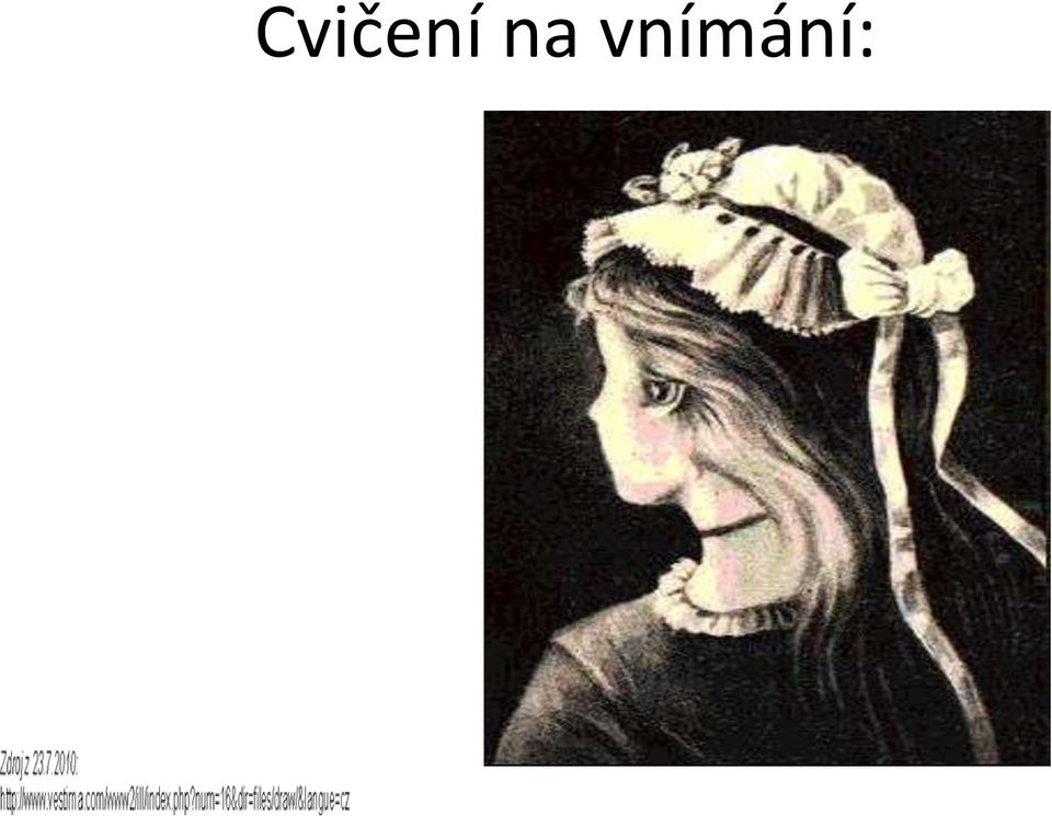 vnímání: