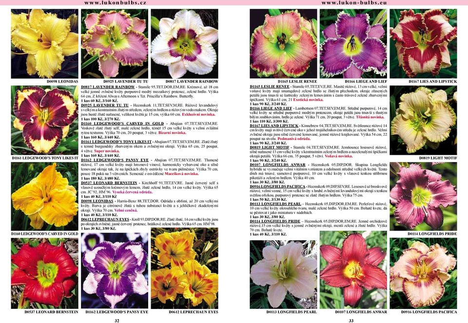 D0925 LAVENDER TU TU - Heemskerk 11,TET,SEV,M,RE. Růžově levandulový s velkým a kontrastním žlutým středem, zeleným hrdlem a růžovým vodoznakem.