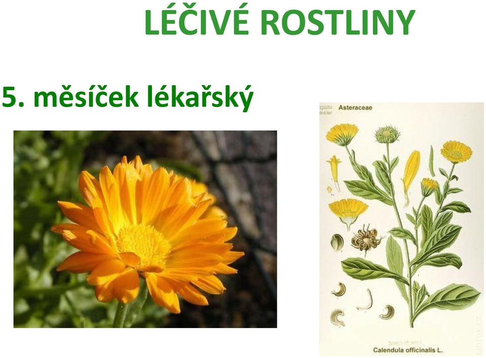 lékařský