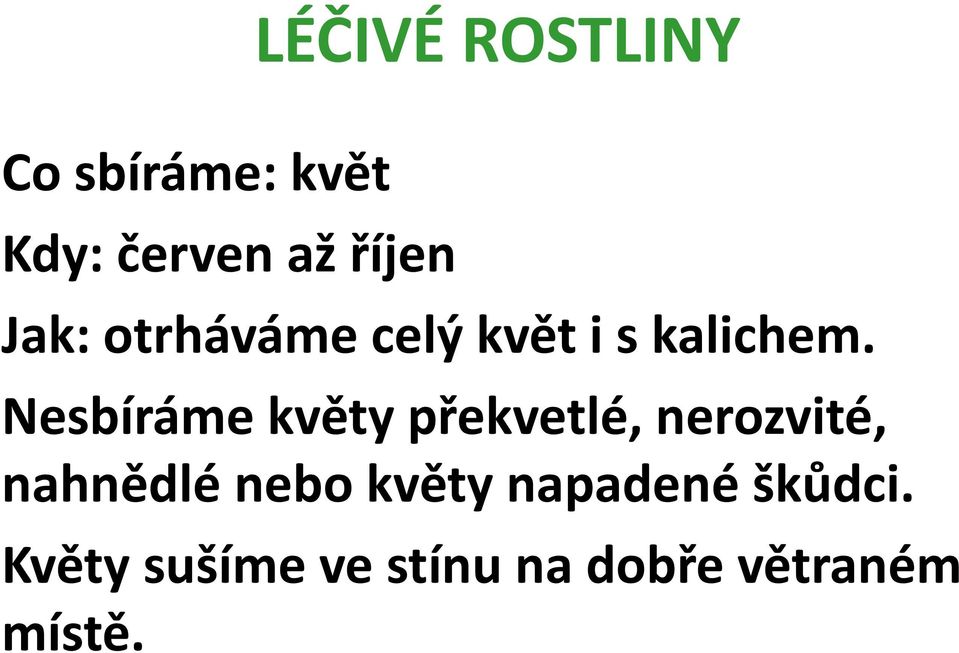 Nesbíráme květy překvetlé, nerozvité, nahnědlé