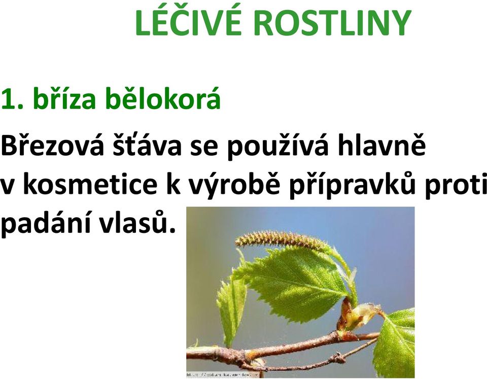 hlavně v kosmetice k