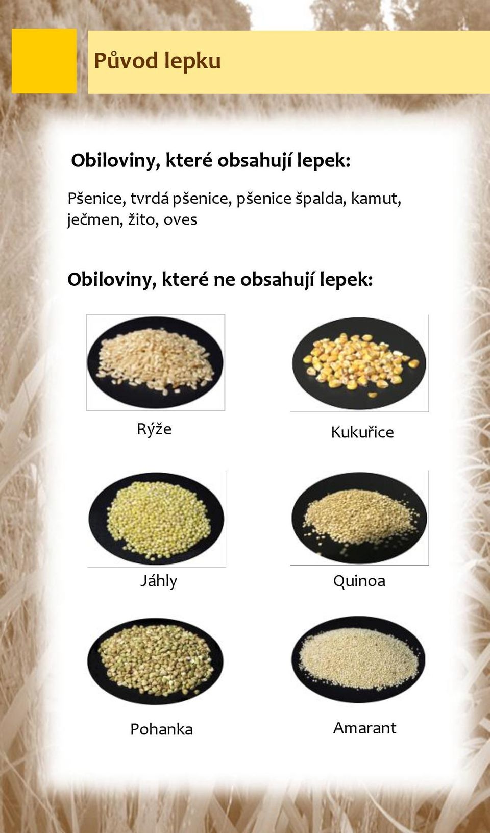 ječmen, žito, oves Obiloviny, které ne obsahují