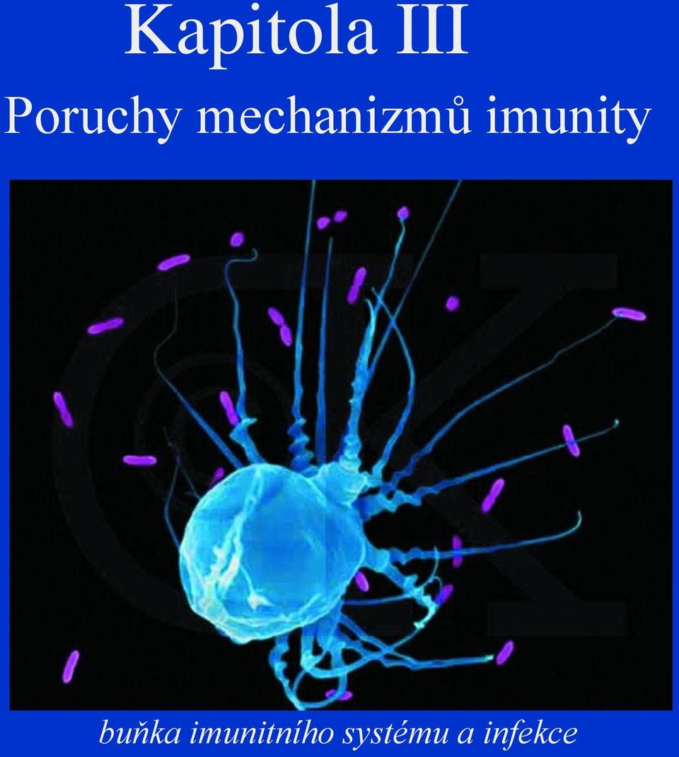 imunity buňka