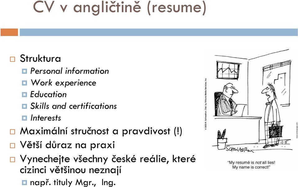 Maximální stručnost a pravdivost (!