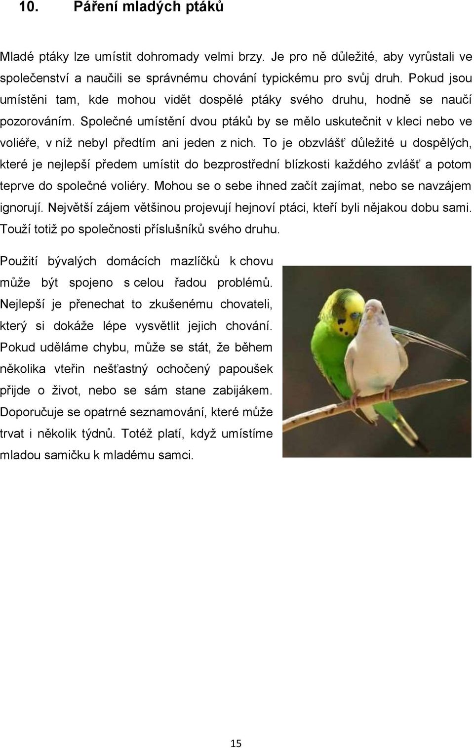 Společné umístění dvou ptáků by se mělo uskutečnit v kleci nebo ve voliéře, v níž nebyl předtím ani jeden z nich.