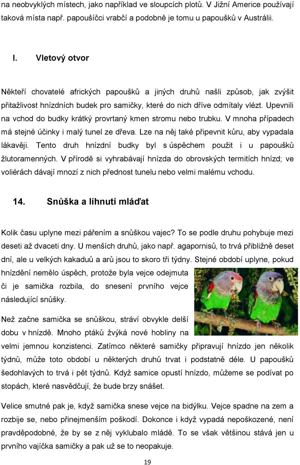 Upevnili na vchod do budky krátký provrtaný kmen stromu nebo trubku. V mnoha případech má stejné účinky i malý tunel ze dřeva. Lze na něj také připevnit kůru, aby vypadala lákavěji.