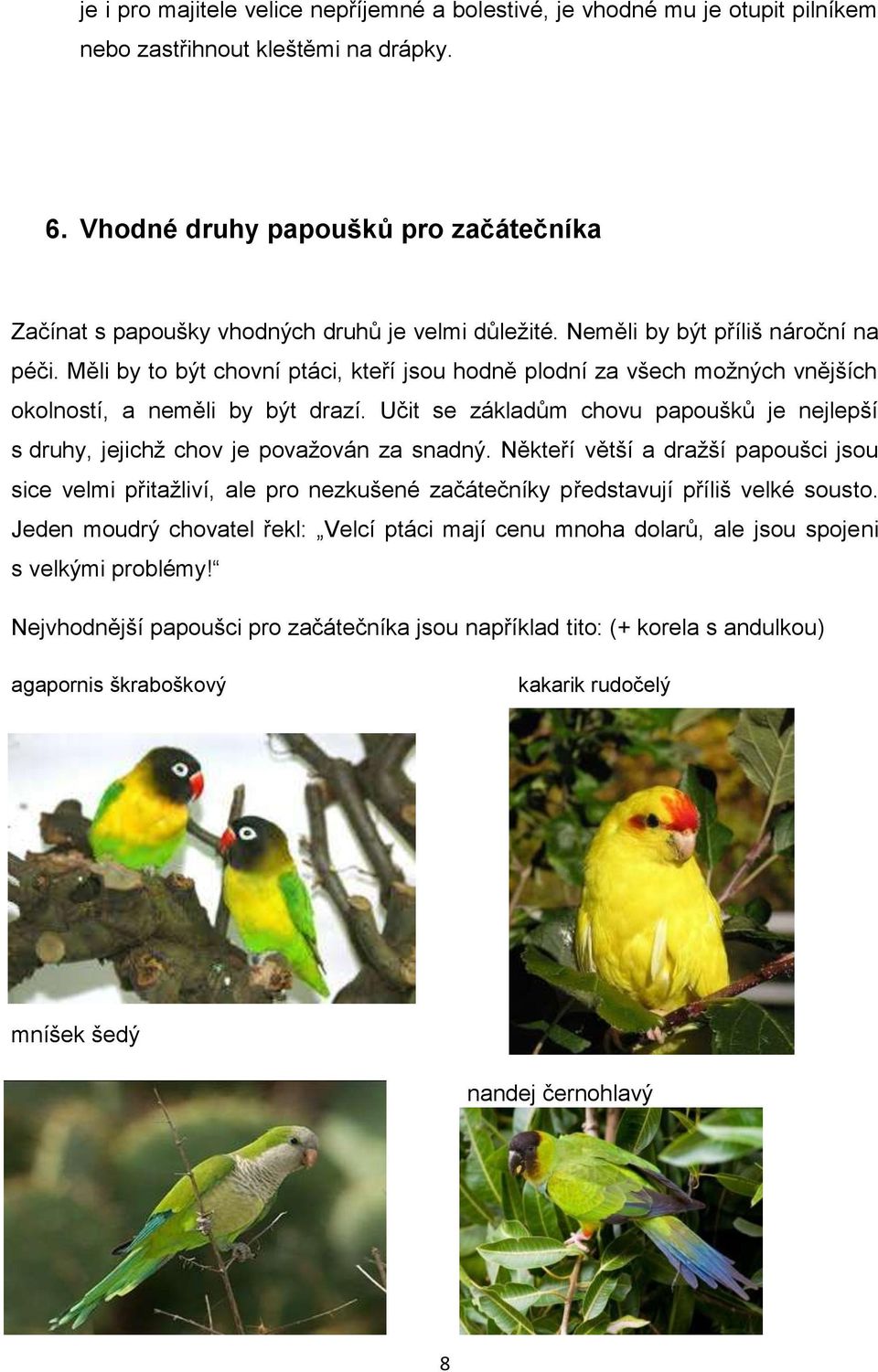Měli by to být chovní ptáci, kteří jsou hodně plodní za všech možných vnějších okolností, a neměli by být drazí.
