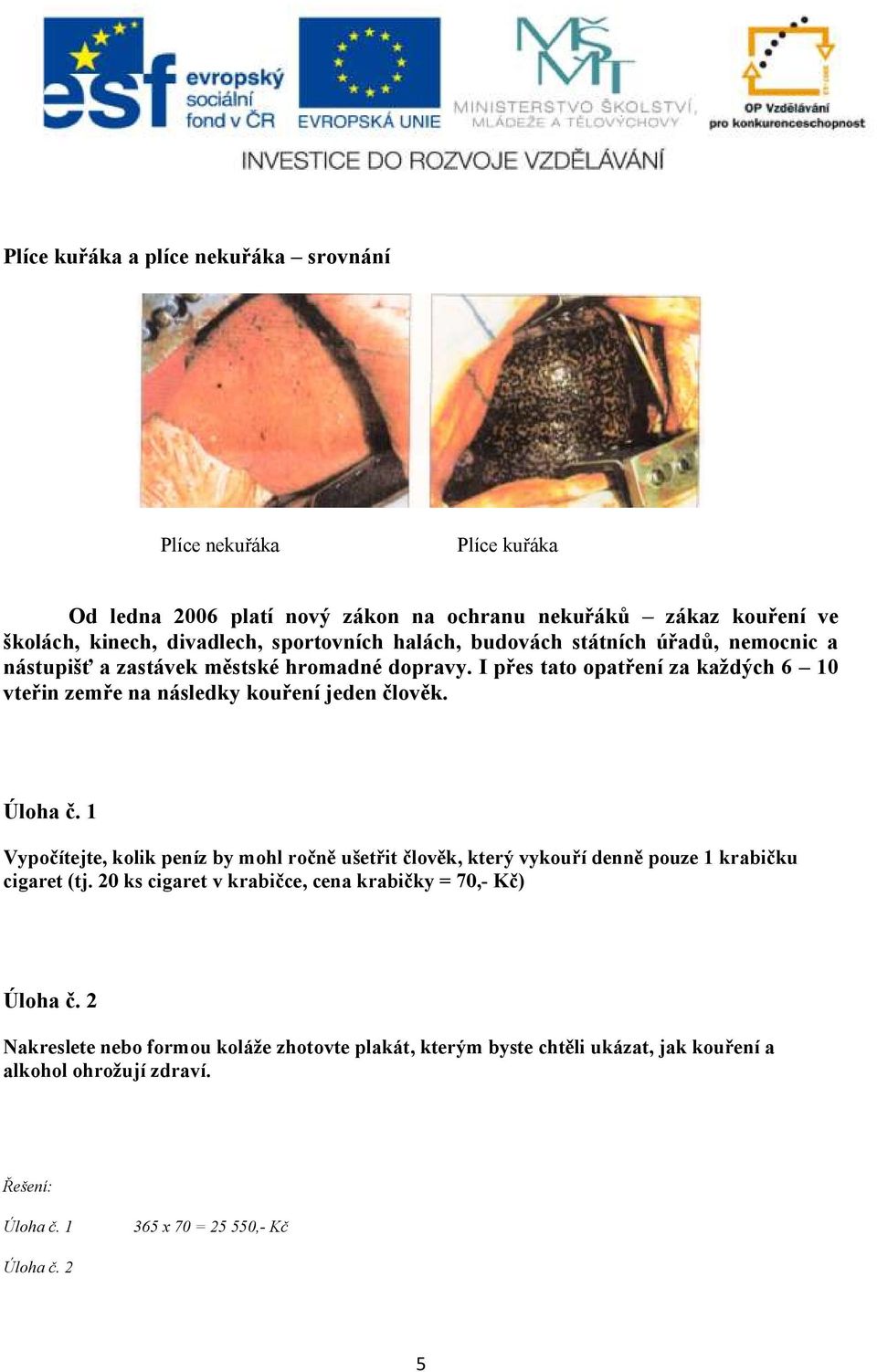 I přes tato opatření za každých 6 10 vteřin zemře na následky kouření jeden člověk. Úloha č.