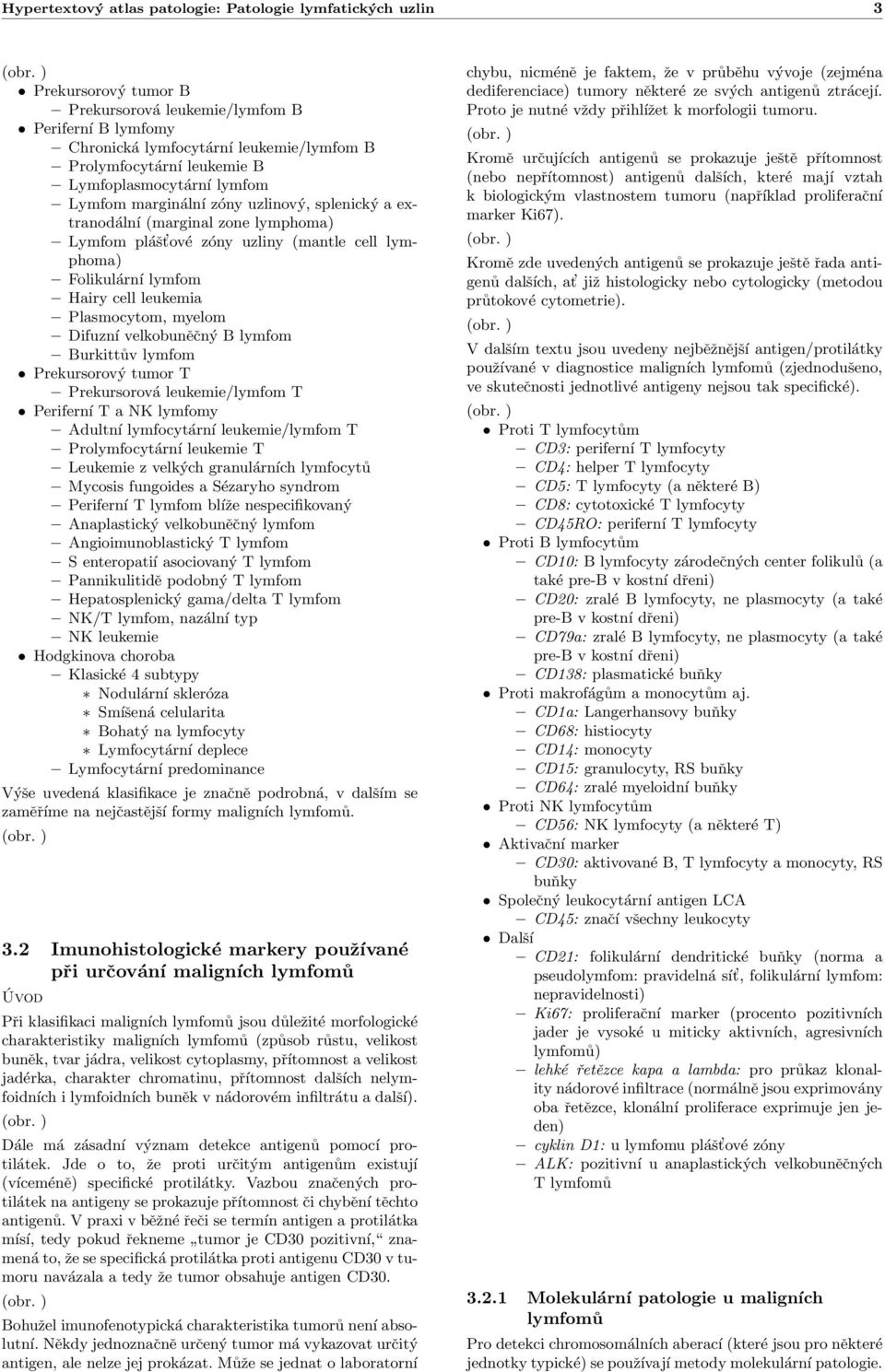 leukemia Plasmocytom, myelom Difuzní velkobuněčný B lymfom Burkittův lymfom Prekursorový tumor T Prekursorová leukemie/lymfom T Periferní T a NK lymfomy Adultní lymfocytární leukemie/lymfom T