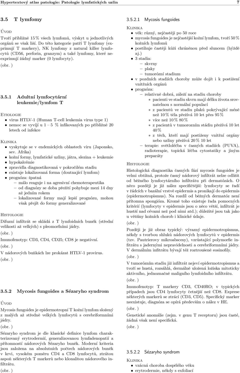 , perforin, granzym) a také lymfomy, které neexprimují žádný marker (0 lymfocyty). 3.5.