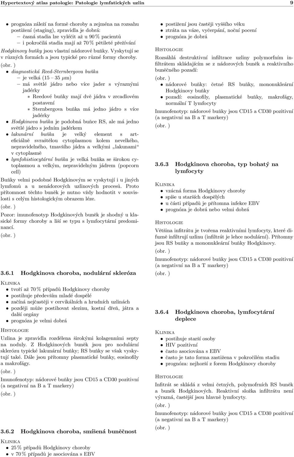 diagnostická Reed-Sternbergova buňka je velká (15 35 µm) má světlé jádro nebo více jader s výraznými jadérky Reedové buňky mají dvě jádra v zrcadlovém postavení Sternbergova buňka má jedno jádro s