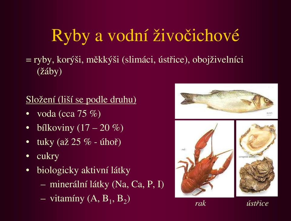 bílkoviny (17 20 %) tuky (až 25 % - úhoř) cukry biologicky aktivní