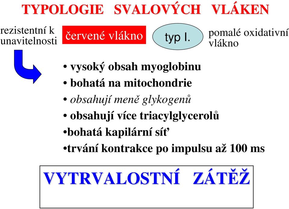 pomalé oxidativní vlákno vysoký obsah myoglobinu bohatá na