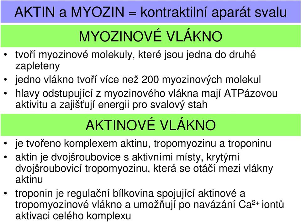 tvořeno komplexem aktinu, tropomyozinu a troponinu aktin je dvojšroubovice s aktivními místy, krytými dvojšroubovicí tropomyozinu, která se otáčí